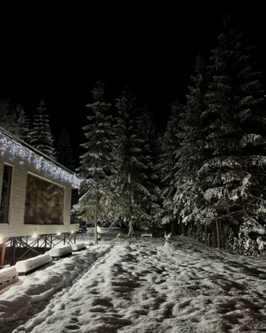 ukrainian_travels_1738173652501